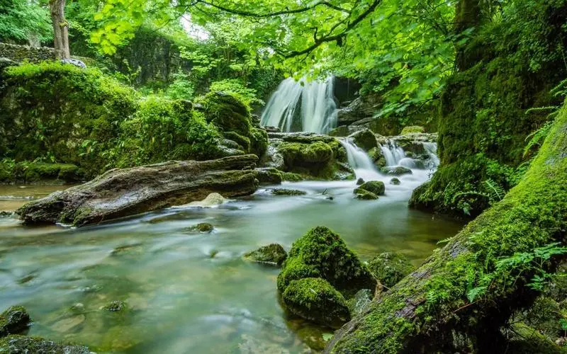 高质量高端智能